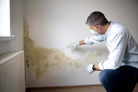 Best Attic Mold Removal  in Winchester, MO